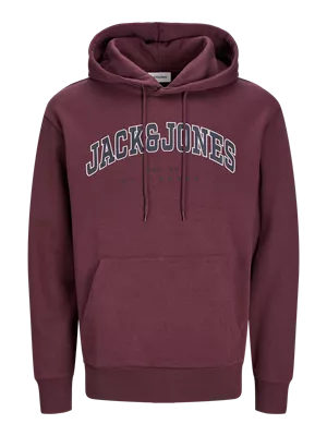 JJECALEB VARSITY SWEAT HOOD NOOS