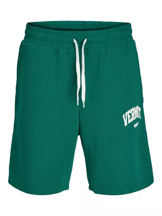 JPSTKANE JJBRADLEY VARSITY SHORTS STYD